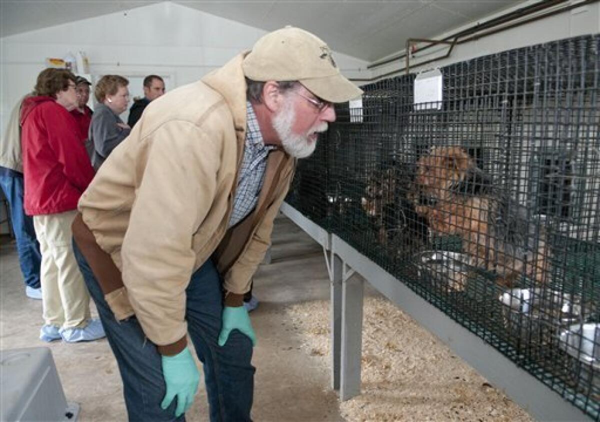 Stone clearance mountain kennels